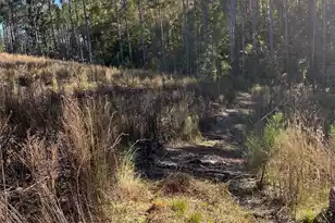 Drf 1 Dawkins Road #Drf 1, Pacolet, SC 29372 - Photo 1