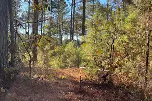 Drf 2 Dawkins Road #Drf 2, Pacolet, SC 29372 - Photo 1