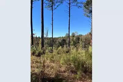 Drf 3 Dawkins Road #Drf 3, Pacolet, SC 29372 - Photo 33