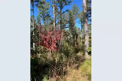 Drf 3 Dawkins Road #Drf 3, Pacolet, SC 29372 - Photo 29