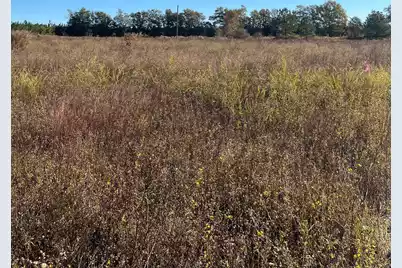 Bhl 4 Boise Cascade #Bhl 4, Bethune, SC 29009 - Photo 5