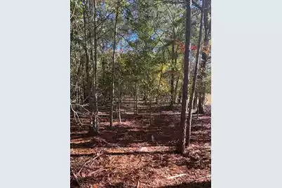 Bhl 7 Boise Cascade #Bhl 7, Bethune, SC 29009 - Photo 7