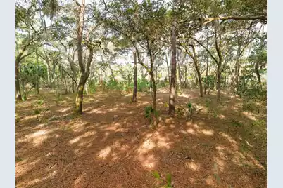 8462 Saint Pierre Creek Drive, Edisto Island, SC 29438 - Photo 21