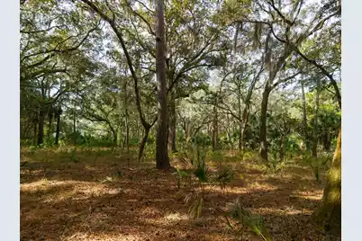 8462 Saint Pierre Creek Drive, Edisto Island, SC 29438 - Photo 15