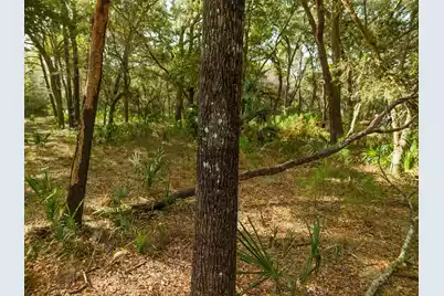 8462 Saint Pierre Creek Drive, Edisto Island, SC 29438 - Photo 27
