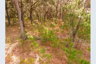 8462 Saint Pierre Creek Drive, Edisto Island, SC 29438 - Photo 7