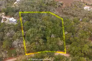 8462 St Pierre Creek Dr, Edisto Island, SC 29438 - Photo 1