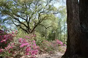 2484 Marina Rd, Wadmalaw Island, SC 29487 - Photo 13