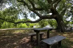 2105 Loblolly Ln, Seabrook Island, SC 29455 - Photo 99