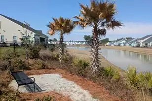 1005 Swamp Harrier Ave, Ravenel, SC 29470 - Photo 17