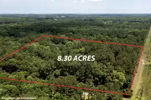 2495 Edenforest Rd, Johns Island, SC 29455 - Photo 3