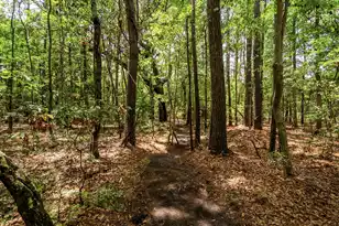 2495 Edenforest Rd, Johns Island, SC 29455 - Photo 49