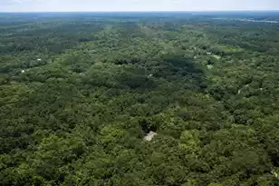 2495 Edenforest Rd, Johns Island, SC 29455 - Photo 5