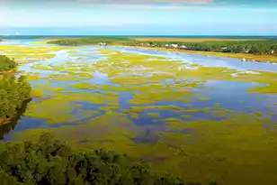 3873 Summerton St, Mount Pleasant, SC 29466 - Photo 73