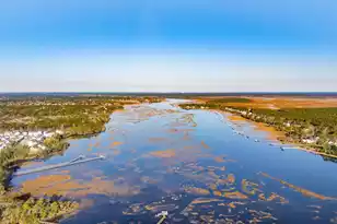 3873 Summerton St, Mount Pleasant, SC 29466 - Photo 65