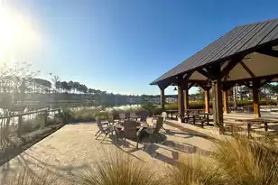 3873 Summerton St, Mount Pleasant, SC 29466 - Photo 69