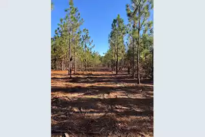 Ppf 12 Payne Pond Road #Ppf 12, Westville, SC 29175 - Photo 49