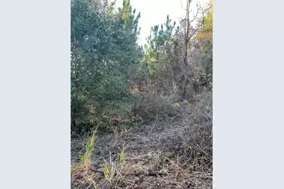 Ppf 12 Payne Pond Road #Ppf 12, Westville, SC 29175 - Photo 9