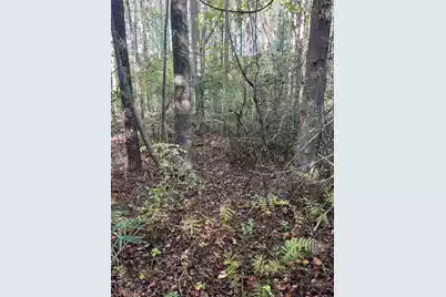 Ppf 12 Payne Pond Road #Ppf 12, Westville, SC 29175 - Photo 15