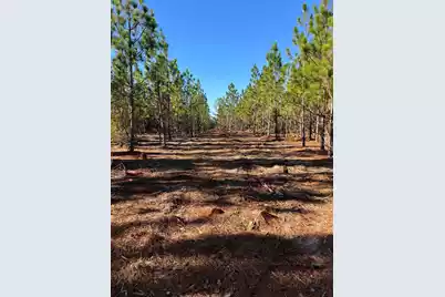 Ppf 12 Payne Pond Road #Ppf 12, Westville, SC 29175 - Photo 51