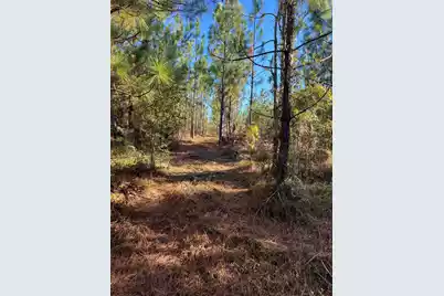 Ppf 12 Payne Pond Road #Ppf 12, Westville, SC 29175 - Photo 21