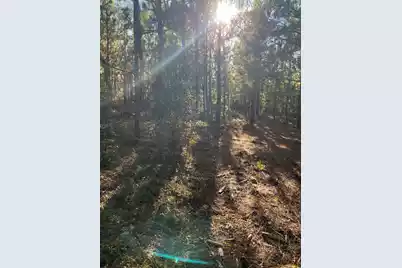 Ppf 12 Payne Pond Road #Ppf 12, Westville, SC 29175 - Photo 23