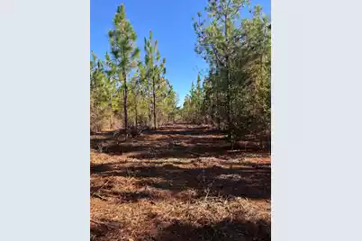 Ppf 12 Payne Pond Road #Ppf 12, Westville, SC 29175 - Photo 47