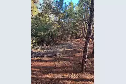 Ppf 12 Payne Pond Road #Ppf 12, Westville, SC 29175 - Photo 19