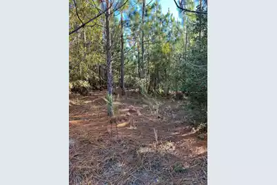 Ppf 12 Payne Pond Road #Ppf 12, Westville, SC 29175 - Photo 3