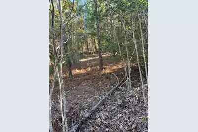 Ppf 12 Payne Pond Road #Ppf 12, Westville, SC 29175 - Photo 25
