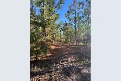 Ppf 12 Payne Pond Road #Ppf 12, Westville, SC 29175 - Photo 39