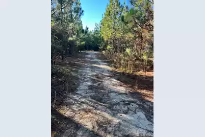 Ppf 12 Payne Pond Road #Ppf 12, Westville, SC 29175 - Photo 5