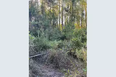 Ppf 12 Payne Pond Road #Ppf 12, Westville, SC 29175 - Photo 29