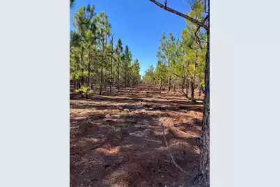 Ppf 12 Payne Pond Road #Ppf 12, Westville, SC 29175 - Photo 53