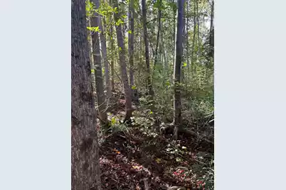 Ppf 12 Payne Pond Road #Ppf 12, Westville, SC 29175 - Photo 11