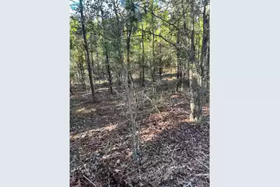 Ppf 12 Payne Pond Road #Ppf 12, Westville, SC 29175 - Photo 35