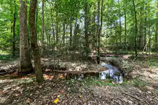 1599 Lee Blvd, Orangeburg, SC 29118 - Photo 39