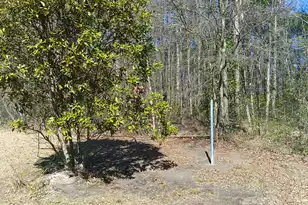 125 Knight Ave, Summerville, SC 29483 - Photo 5