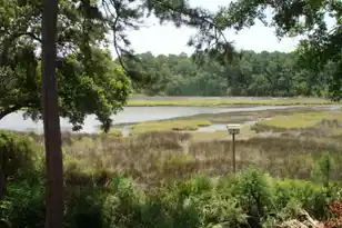 8970 Palmetto Rd, Edisto Island, SC 29438 - Photo 5