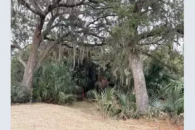 8970 Palmetto Road, Edisto Island, SC 29438 - Photo 33