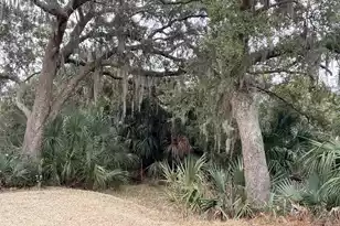 8970 Palmetto Rd, Edisto Island, SC 29438 - Photo 33