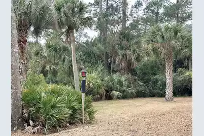 8970 Palmetto Road, Edisto Island, SC 29438 - Photo 31