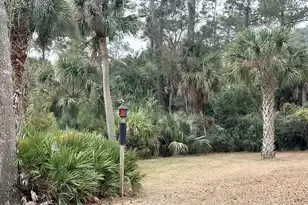 8970 Palmetto Rd, Edisto Island, SC 29438 - Photo 31