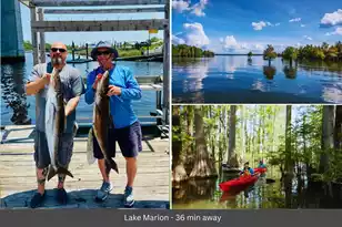 02 Pompey Rd, Manning, SC 29102 - Photo 37