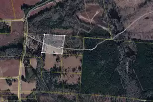 02 Pompey Rd, Manning, SC 29102 - Photo 39