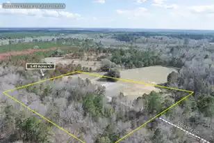 02 Pompey Rd, Manning, SC 29102 - Photo 11