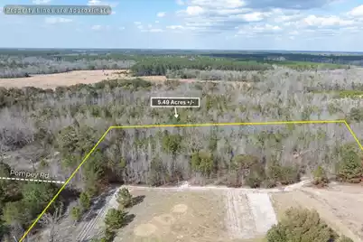 02 Pompey Road, Manning, SC 29102 - Photo 5