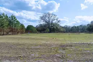 05 Pompey Rd, Manning, SC 29102 - Photo 3