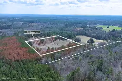 05 Pompey Road, Manning, SC 29102 - Photo 3