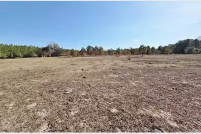 5 Pompey Road, Manning, SC 29102 - Photo 5